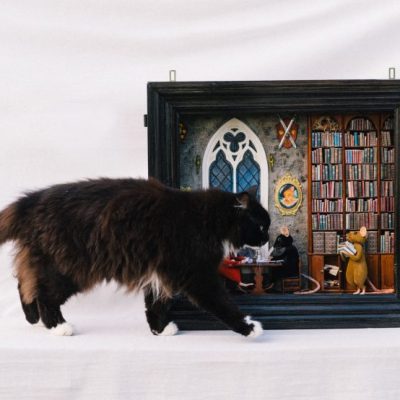 Harry Potter inspired diorama. Cat for scale.  Photo by <a href="https://www.instagram.com/linneahaden/">Linnéa Hådén</a>.