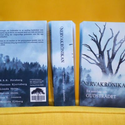 Book cover to a writing club's novel. Photo by <a href="https://www.instagram.com/linneahaden/">Linnéa Hådén</a>.